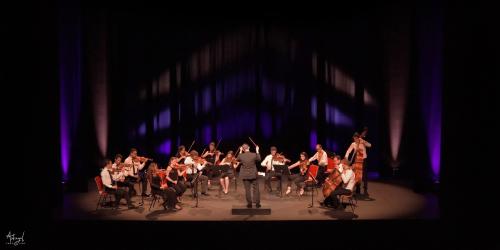 Le Chant de la terre - l'Orchestre de Chambre de la Drôme en concert