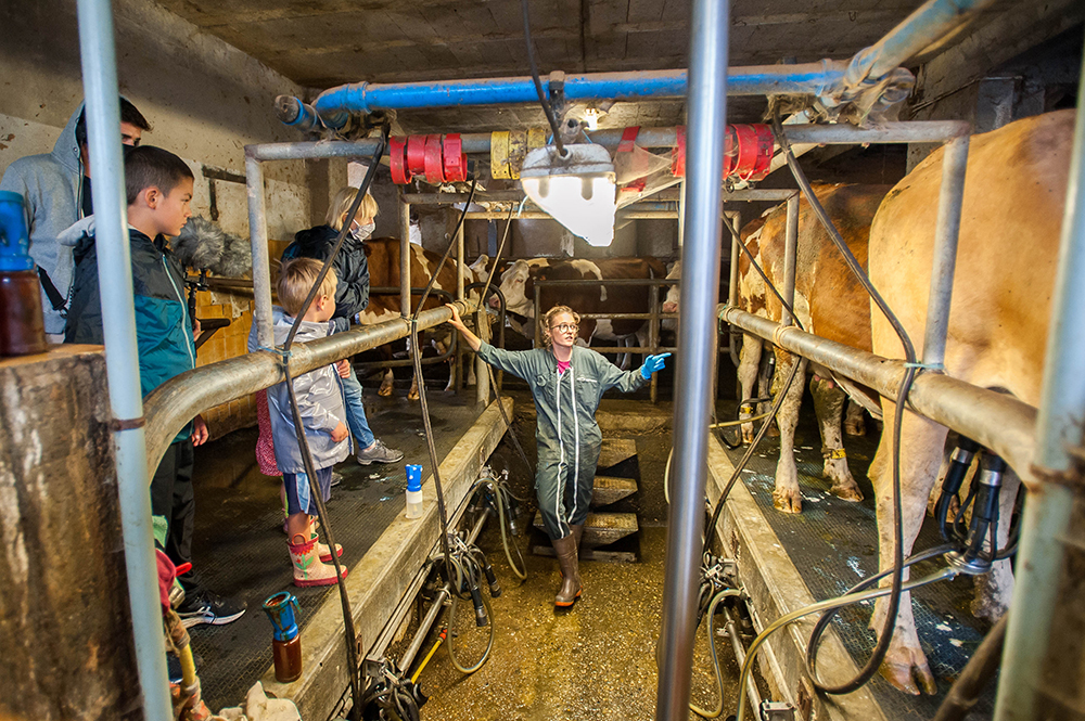 Rencontres à la ferme