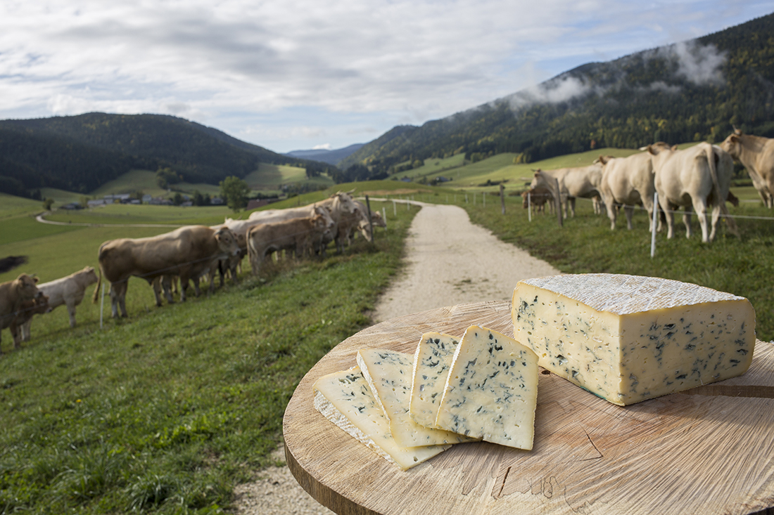 Bleu du Vercors-Sassenage