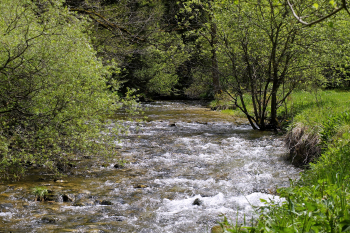 L'eau, un bien précieux