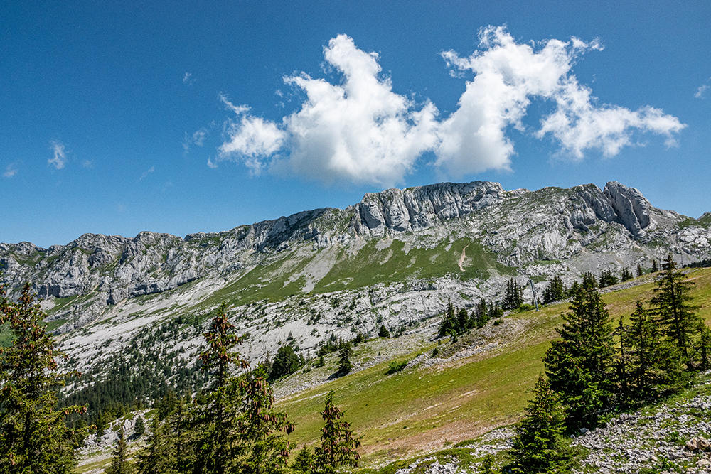 Plateau Molière