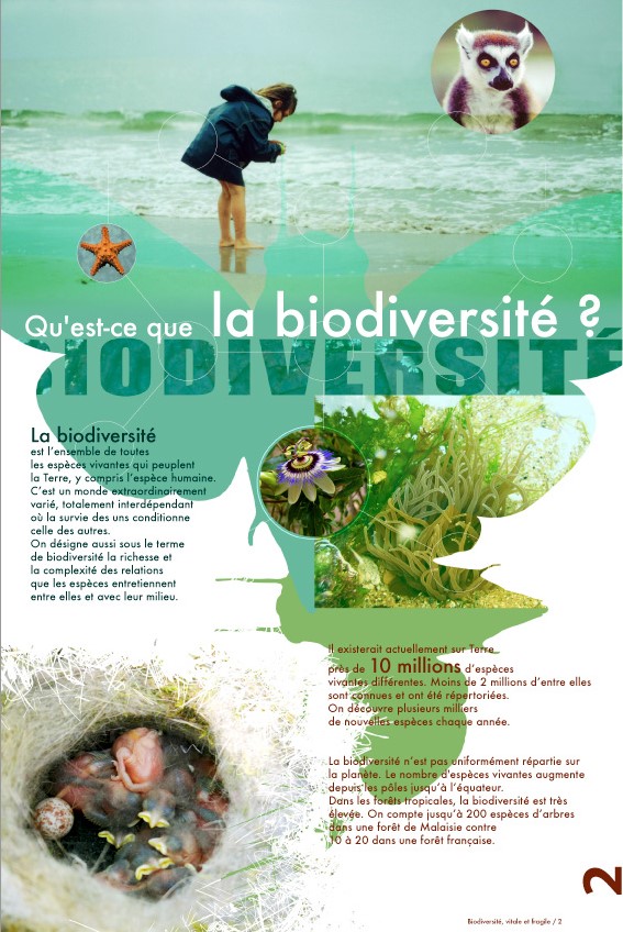 Exposition temporaire biodiversité