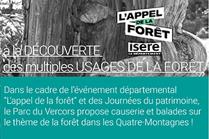 L'appel de la forêt