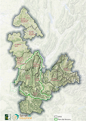 carte Leader