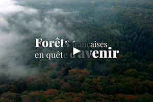 Forêts françaises en quête d'avenir