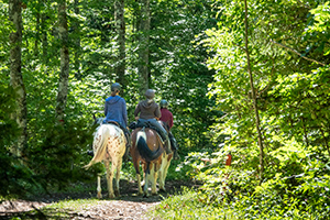 Forêt de Vassieux-en-Vercors - SylvoTrophée 2022