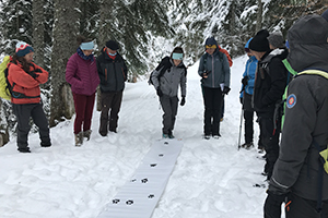 Formation plan d'action Loup Vercors