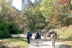 Jeunes et montagnes