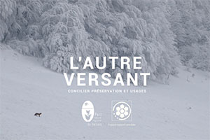 Projection rencontre