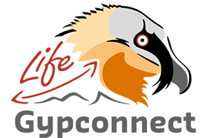 Life gypconnect