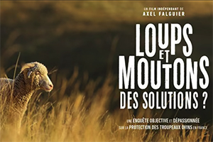 Loups et moutons, des solutions ?