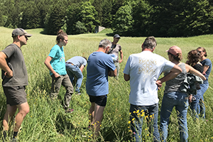 Les prairies naturelles et la filère du bleu du Vercors-Sassenage