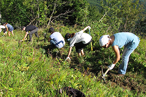Chantier participatif