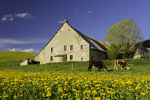 Vercors territoire à vivre