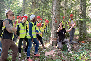 Vis ma vie de bûcheron