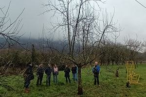 formation arbres fruitiers