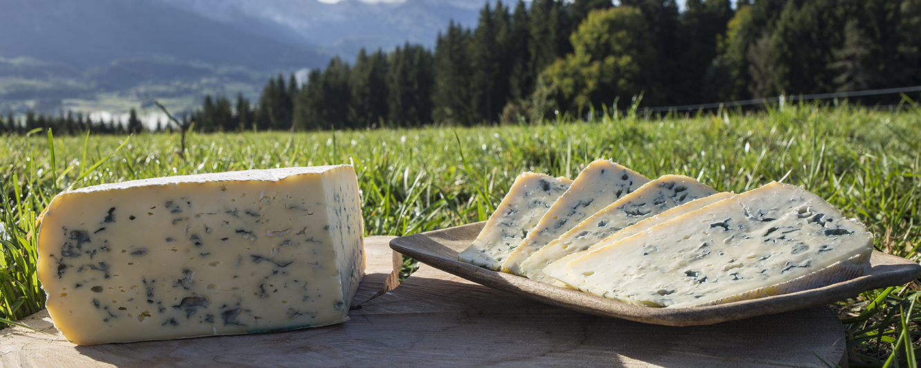 Bleu du Vercors-Sassenage dans les champs