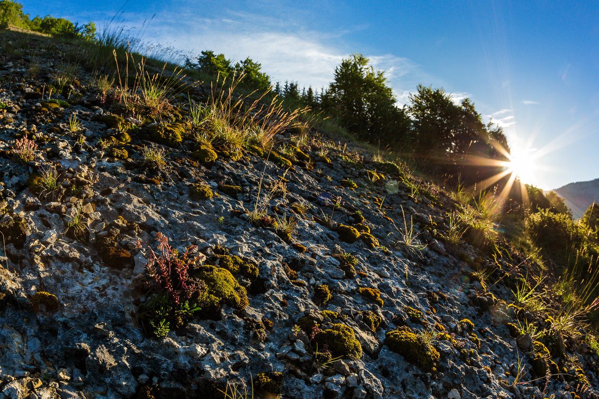 Crépuscule et étoiles filantes Crépuscule et étoiles filantes