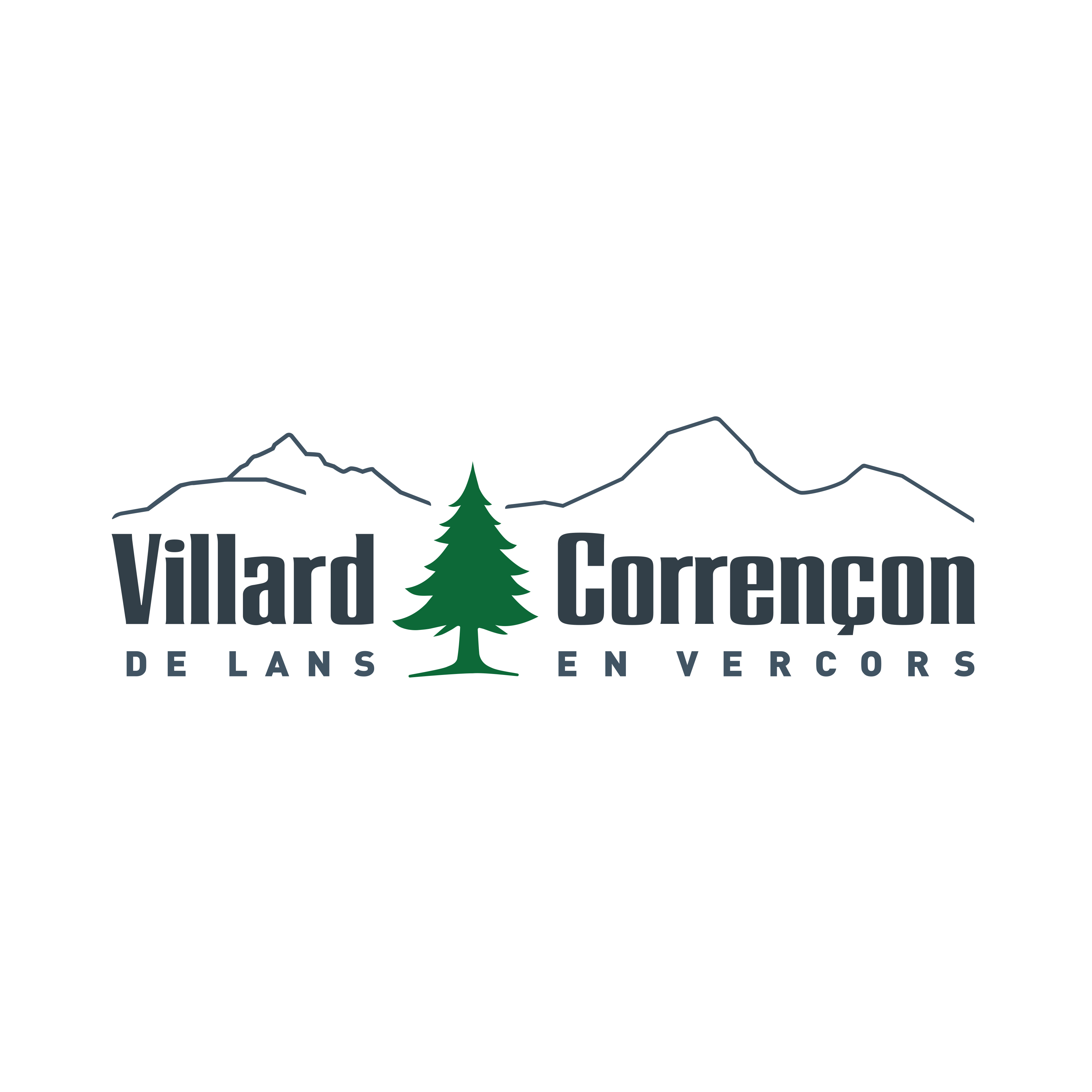 Course de ski alpin