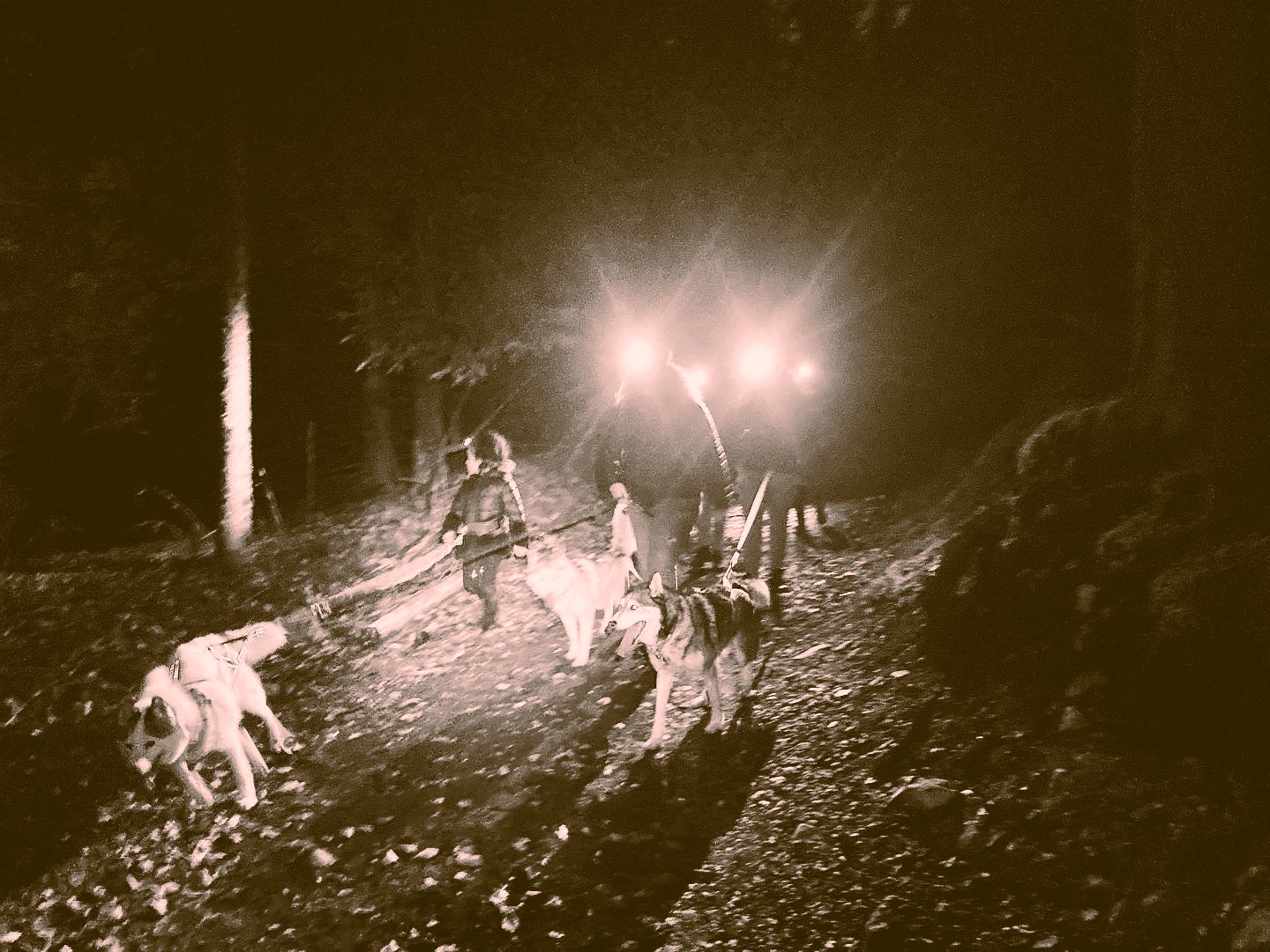 Cani-nocturne à l'auberge du Clariant