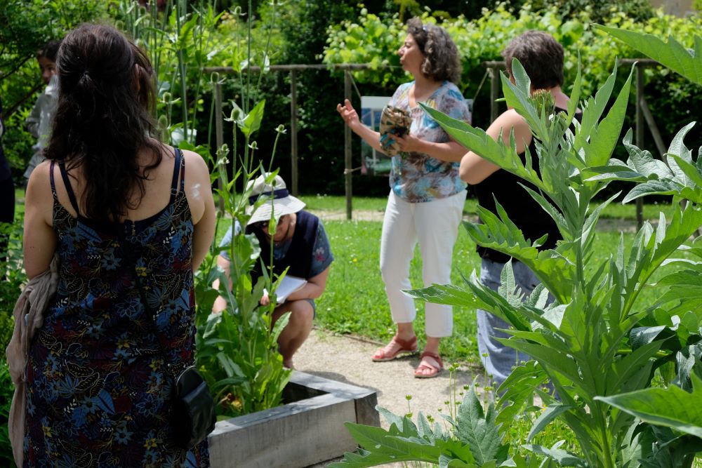 Rendez-Vous aux Jardins du Couvent des Carmes