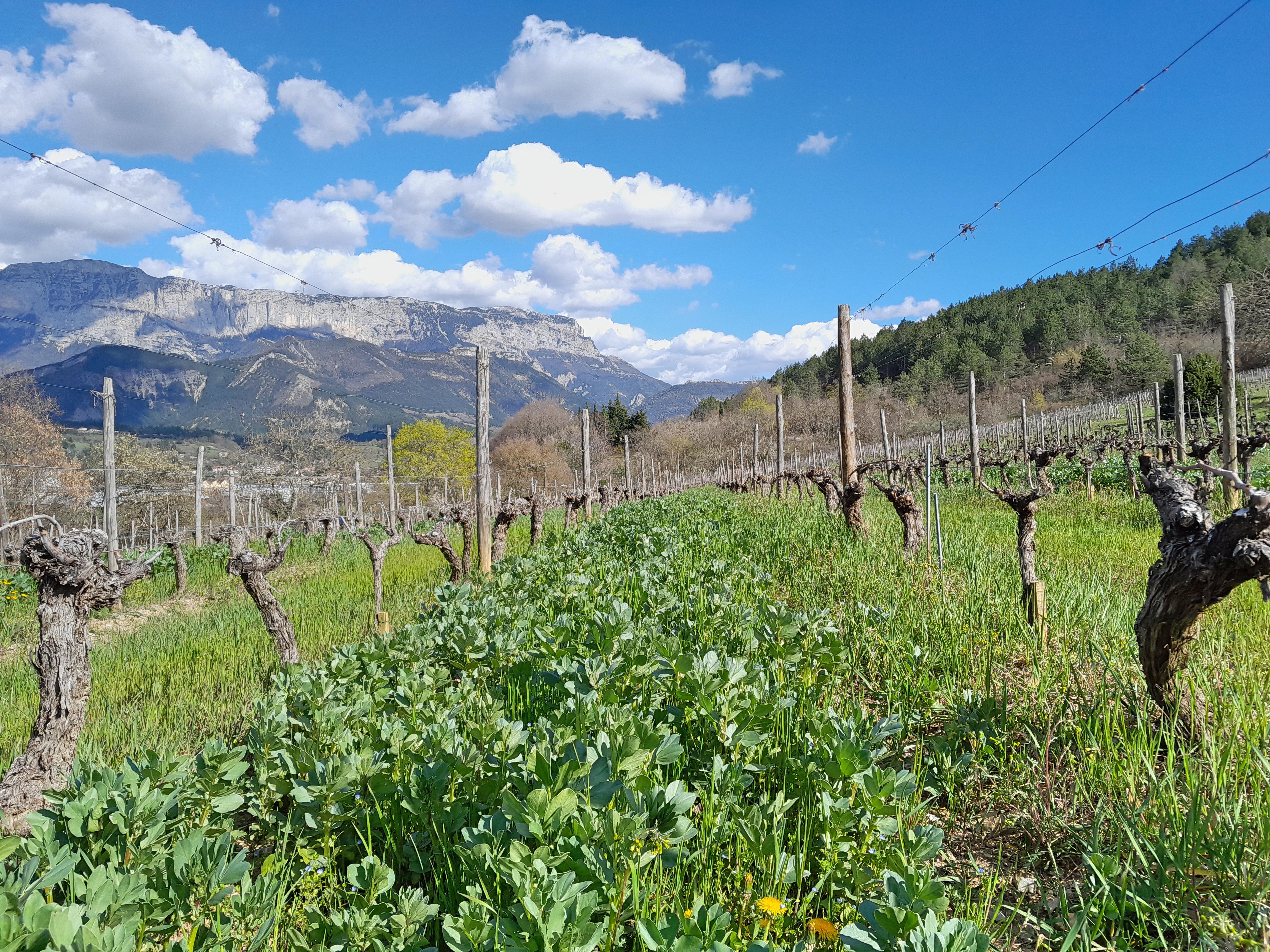 De Ferme en Ferme -Domaine du l'Ubac