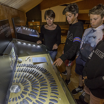Visite guidée du musée de la Préhistoire du Vercors
