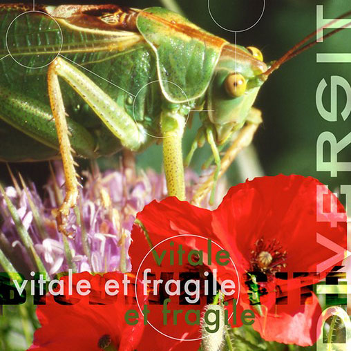 Exposition temporaire : Biodiversité, vitale et fragile