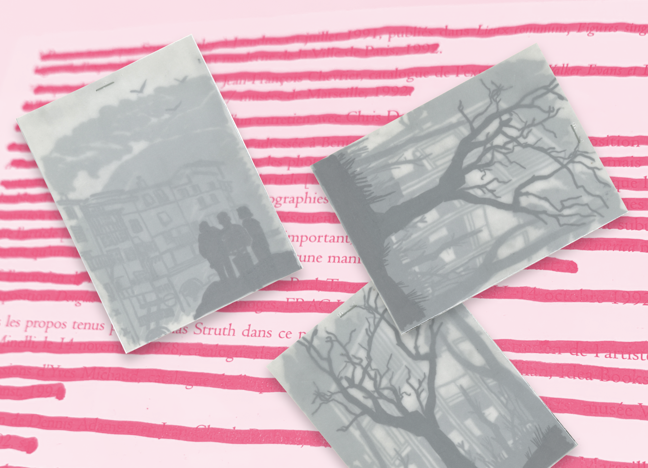 Atelier tous publics "Hide and seek"