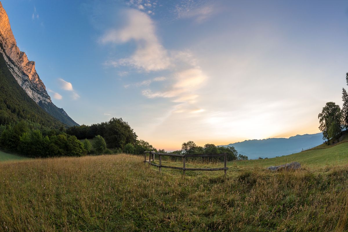 Traces et indices de la faune sauvage