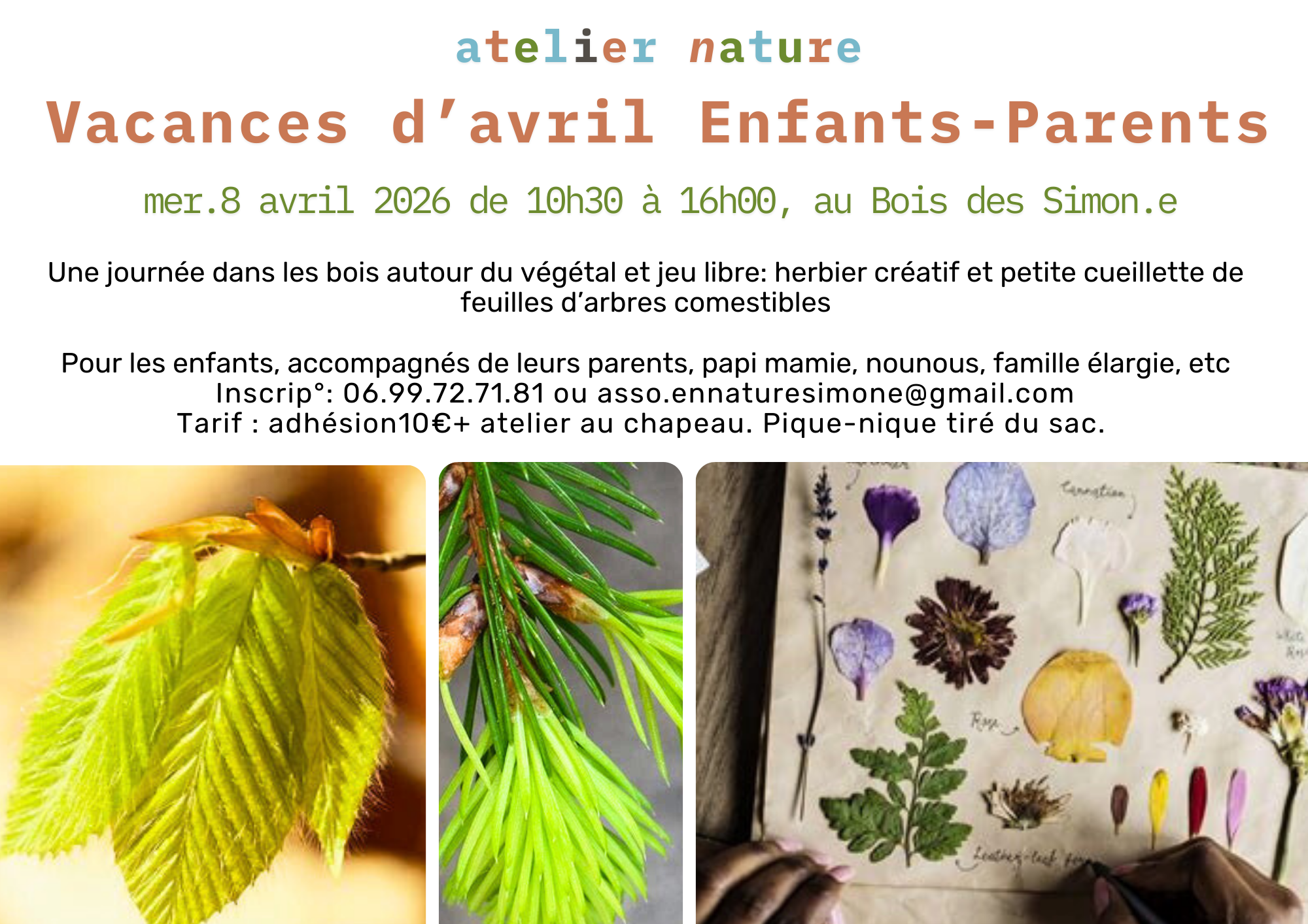 Atelier Herbier créatif et petite cueillette comestible