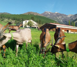 De Ferme en Ferme - La Ferme de La Tournelle