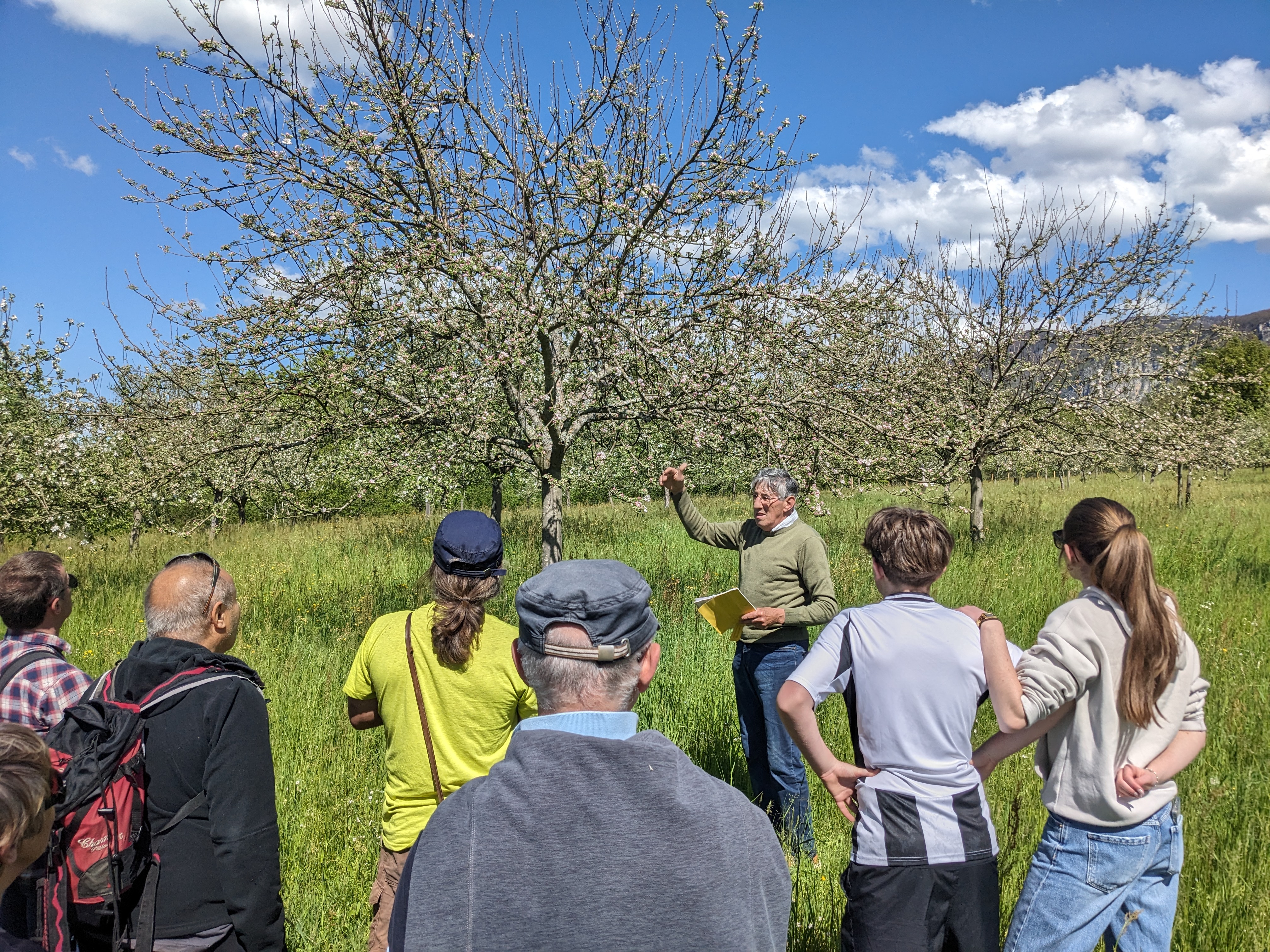 Visite commentée du verger conservatoire en fleurs