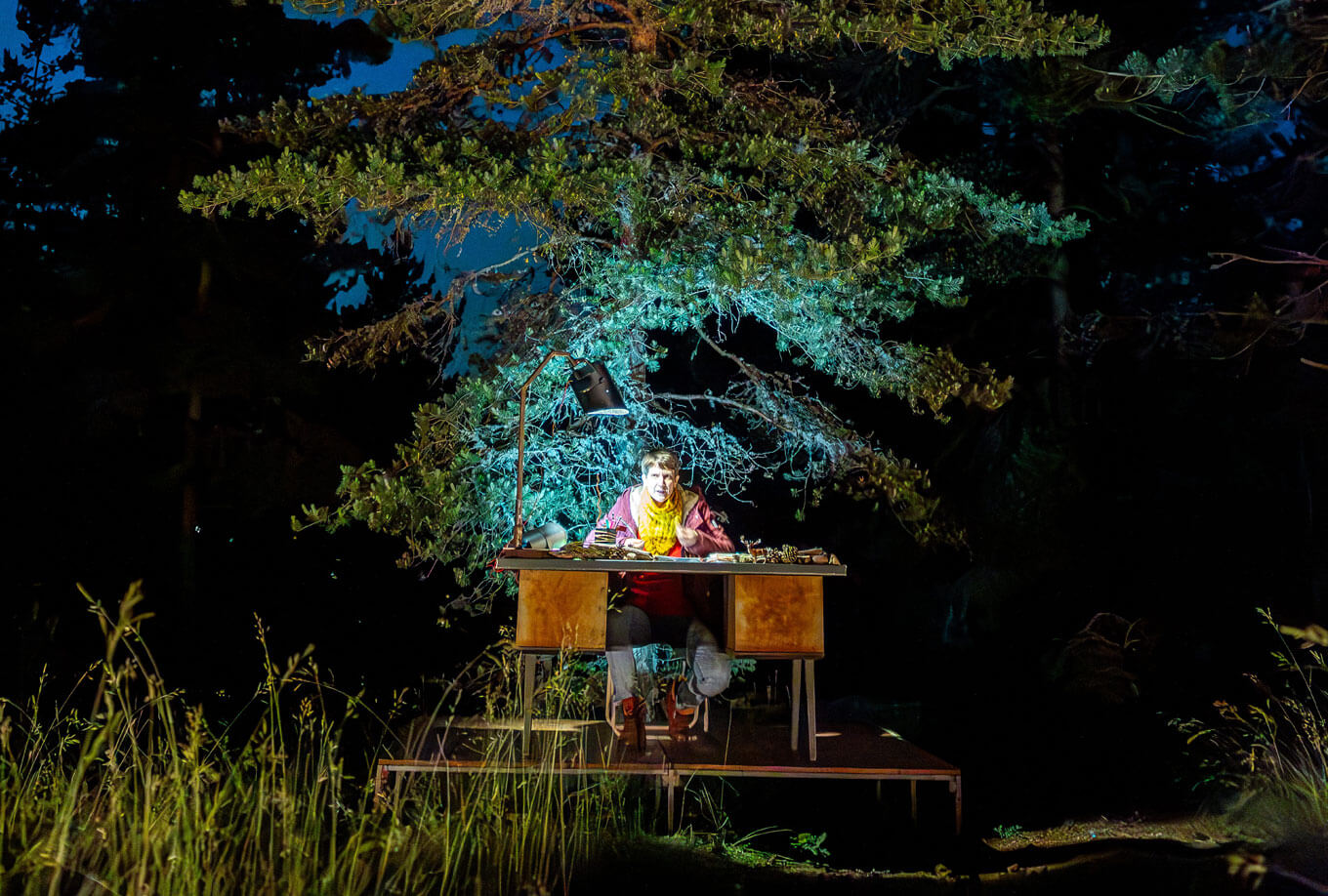 Déambulation de nuit en forêt - Croire aux fauves - Les Arts Oseurs