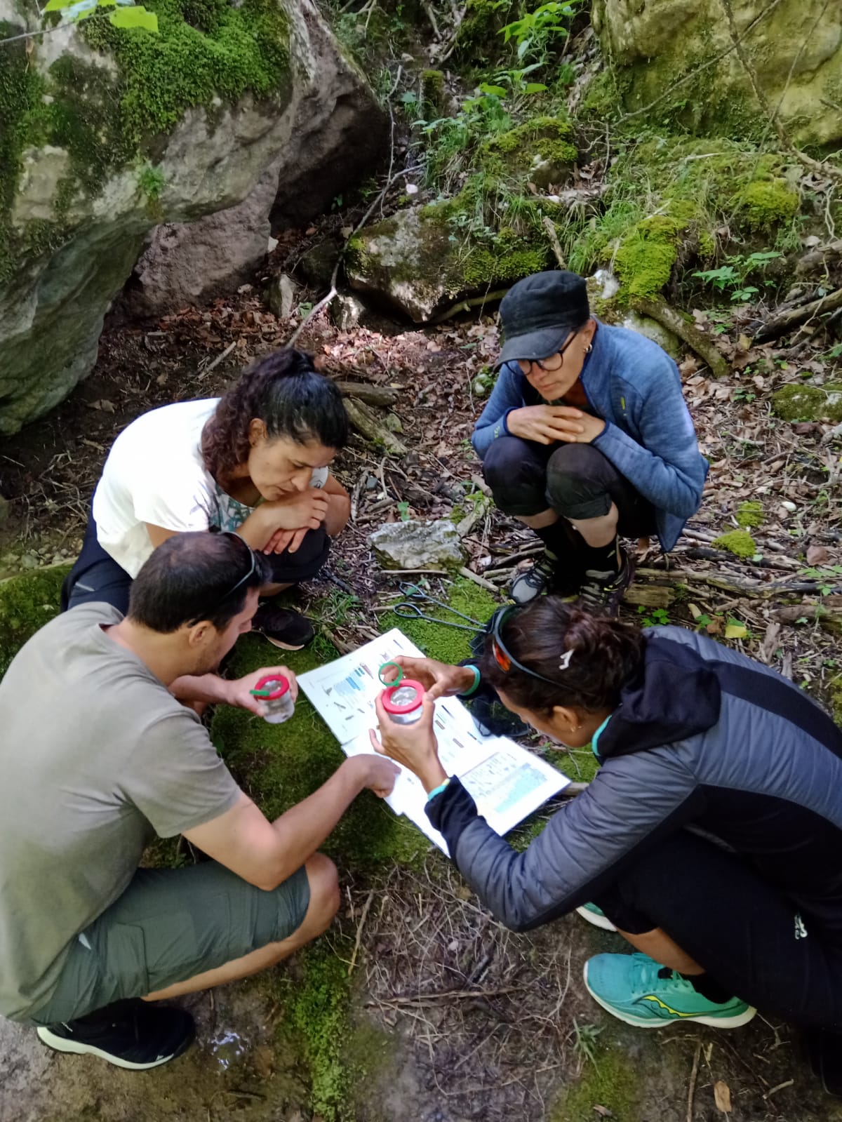 Animation aux Ecouges