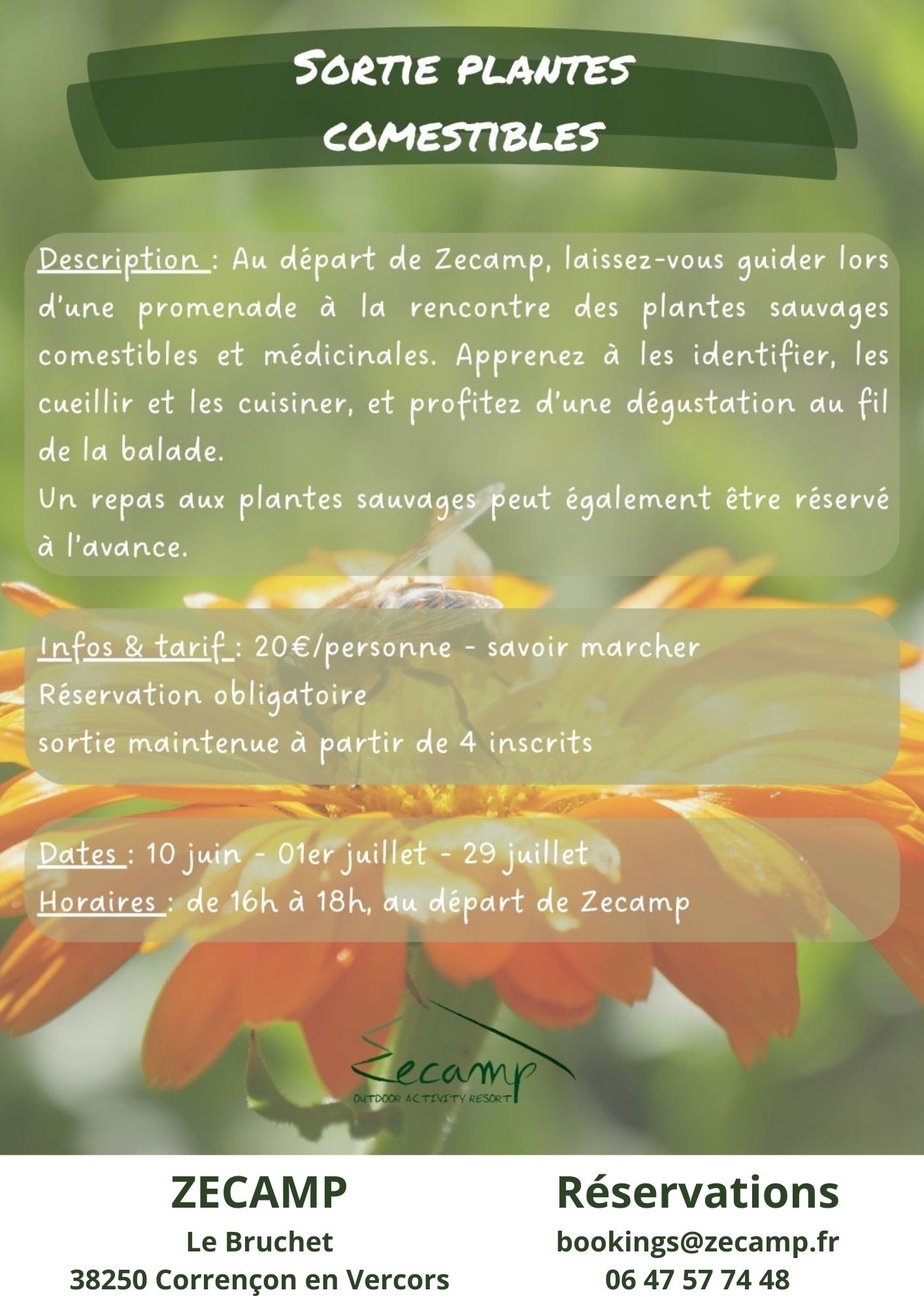 Balade plantes comestibles - sortie nature Zecamp