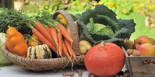 foyer alimentation bas carbone