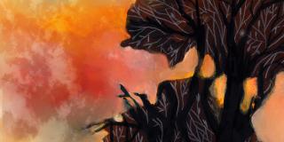 Balade commentée - Crépuscule forestier