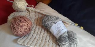 A tout bout d'Champ - Quand la laine moutonne !