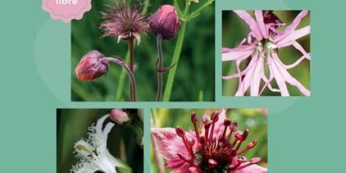 "De mares en prairies humides" - exposition