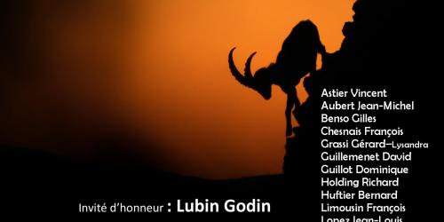 Exposition photographique Nature