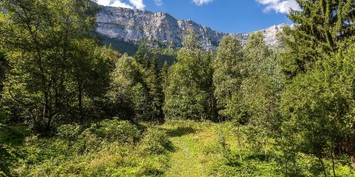 Plantes sauvages comestibles avec Mathilde Simon (l'Echo sauvage)