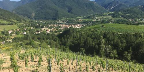 La Drôme de ferme en ferme - Domaine Jean Claude Raspail et fils