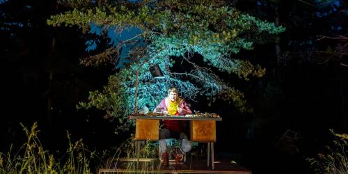 Déambulation de nuit en forêt - Croire aux fauves - Les Arts Oseurs