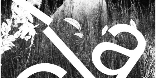 Exposition temporaire - Le clan