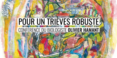 POUR UN TRIEVES ROBUSTE