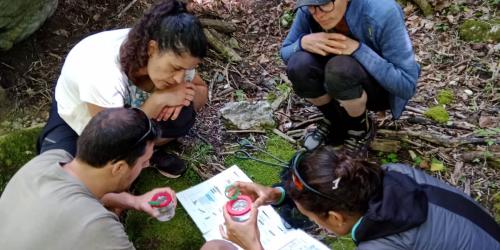 Animation aux Ecouges