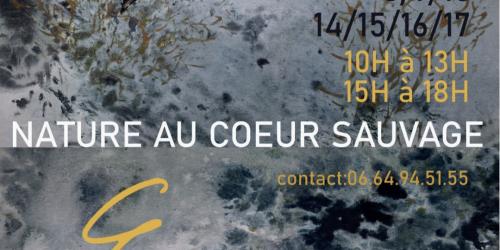 Exposition de peinture- Nature au coeur sauvage