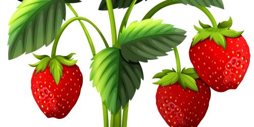 Lectures animées à la médiathèque