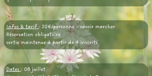 Histoire de fleurs - Sortie nature Zecamp